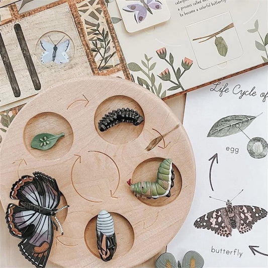 Montessori Animals Life Cycle