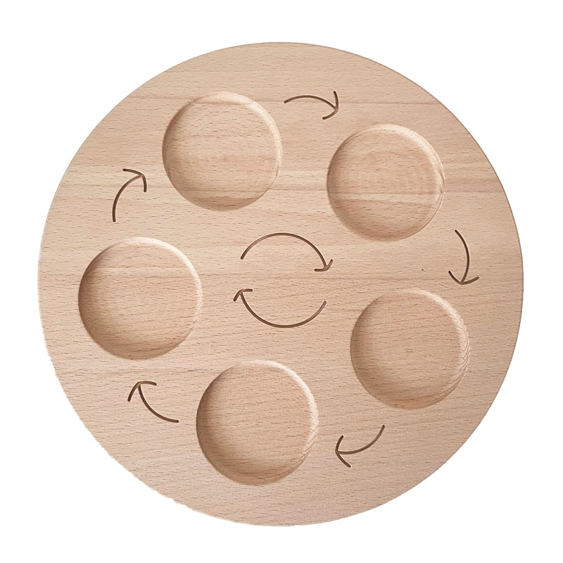 Montessori Animals Life Cycle