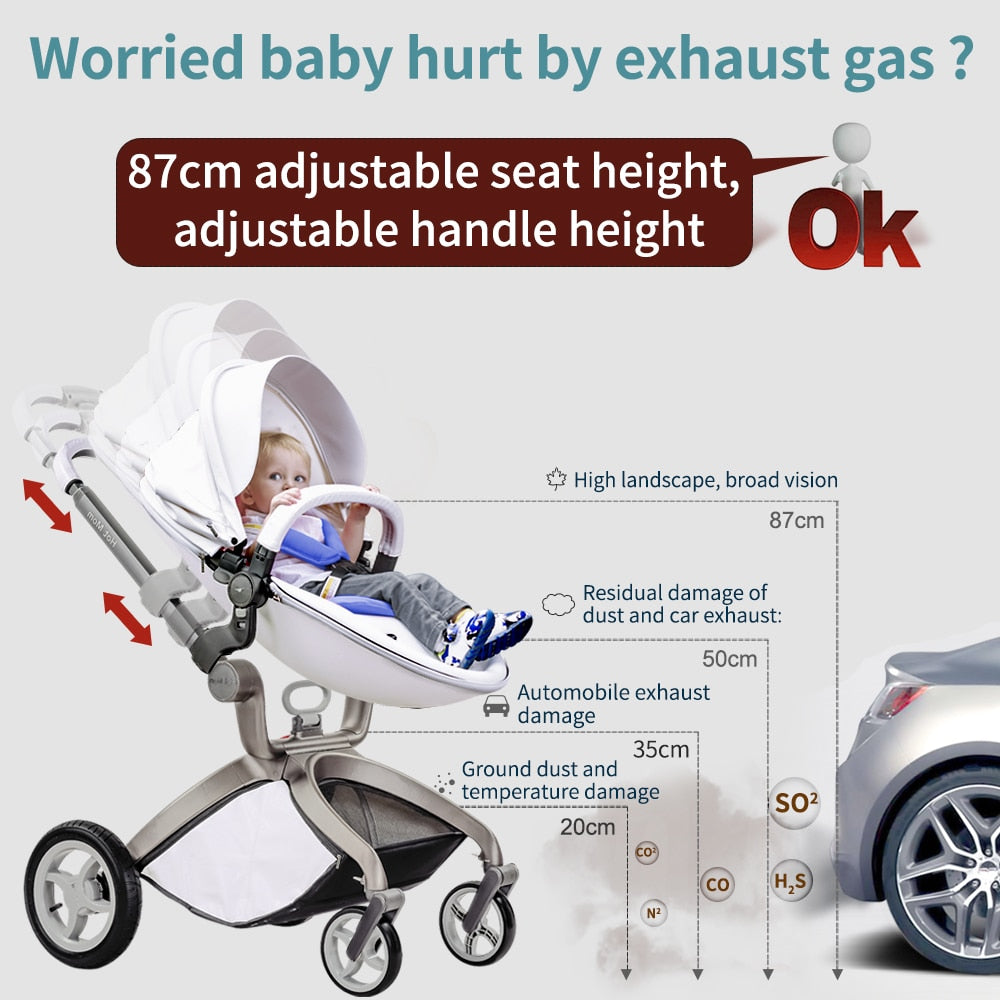 Luxury Baby Stroller travel System and Egg Seat, With Car Seat - F22 High Land-Scape