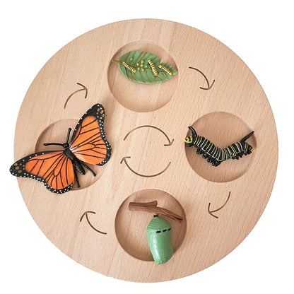 Montessori Animals Life Cycle Board Set Lifestyle Stages, 16 Sets Animals