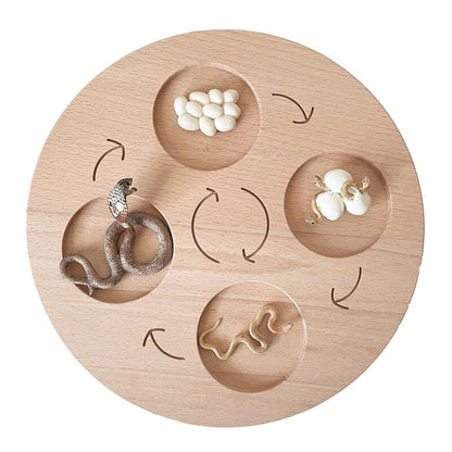 Montessori Animals Life Cycle Board Set Lifestyle Stages, 16 Sets Animals