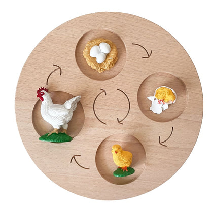 Montessori Animals Life Cycle Board Set Lifestyle Stages, 16 Sets Animals