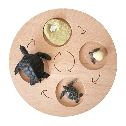 Montessori Animals Life Cycle Board Set Lifestyle Stages, 16 Sets Animals